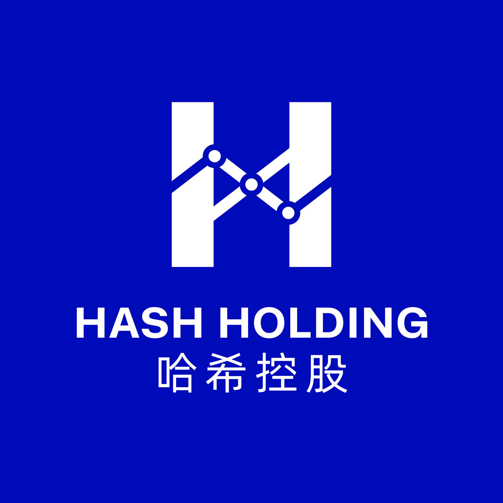 深圳哈希控股发展有限公司